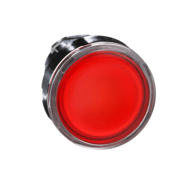 Schneider Electric Red Illuminated Pushbutton Head